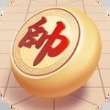 中国乐云象棋对弈正版app安装