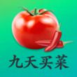 九天买菜app手机版